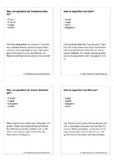 Quiz-Karten-Tiernamen 71.pdf